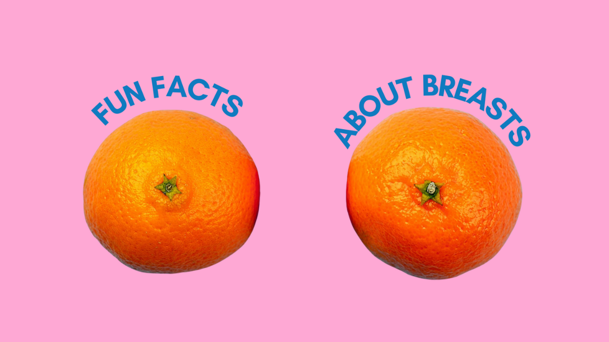 Fun Facts About Breasts